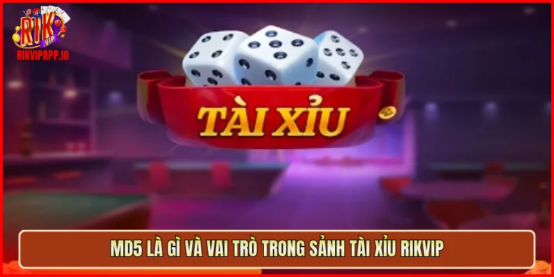 MD5 là gì và vai trò trong sảnh Tài Xỉu Rikvip