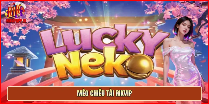 Mèo Chiêu Tài Rikvip