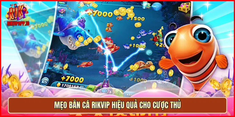Mẹo bắn cá Rikvip hiệu quả cho cược thủ